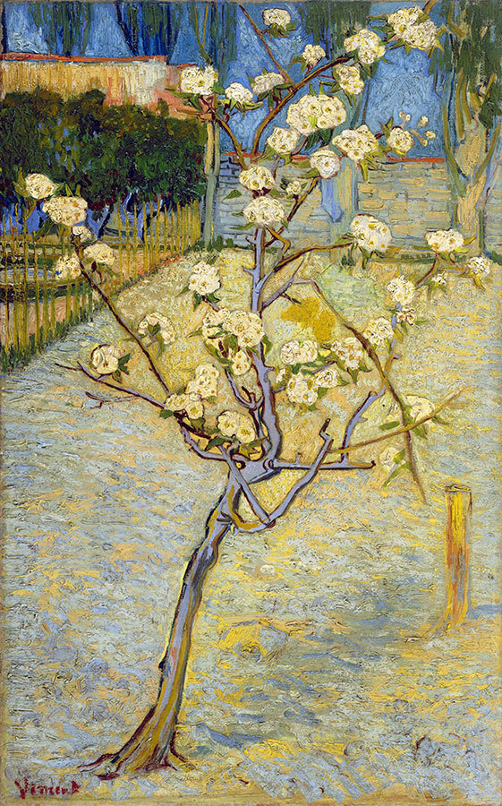 

Репродукция картины на холсте Pear Tree in Blossom 1888 г.