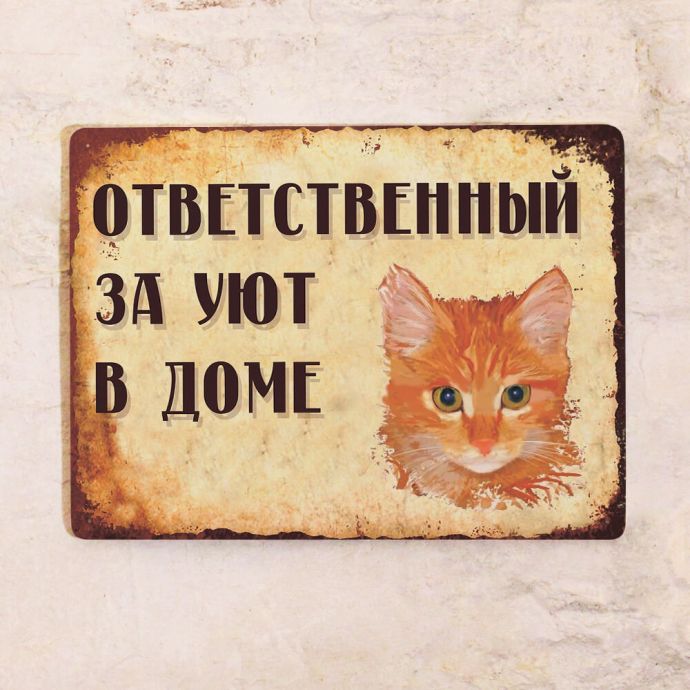 

Жестяная табличка рыжий кот