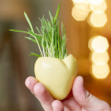 Набор мини-кашпо heart желтый/белый/зеленый Набор мини-кашпо heart желтый/белый/зеленый