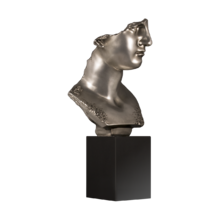 Статуэтка Silver head Статуэтка Silver head