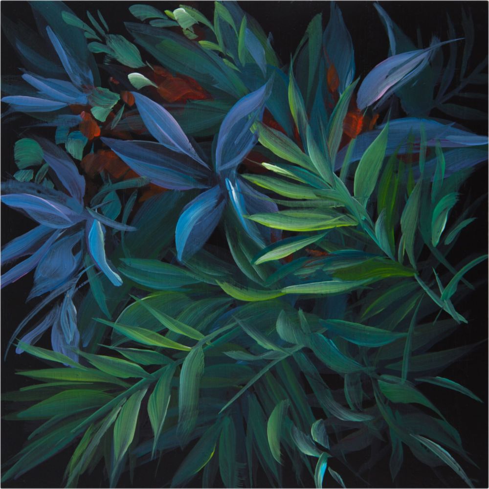 

Шкатулка Tropic