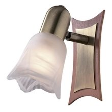 Спот Odeon LIGHT Ilsa Спот Odeon LIGHT Ilsa