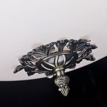 Потолочный светильник Maytoni "Speria" Потолочный светильник Maytoni "Speria"
