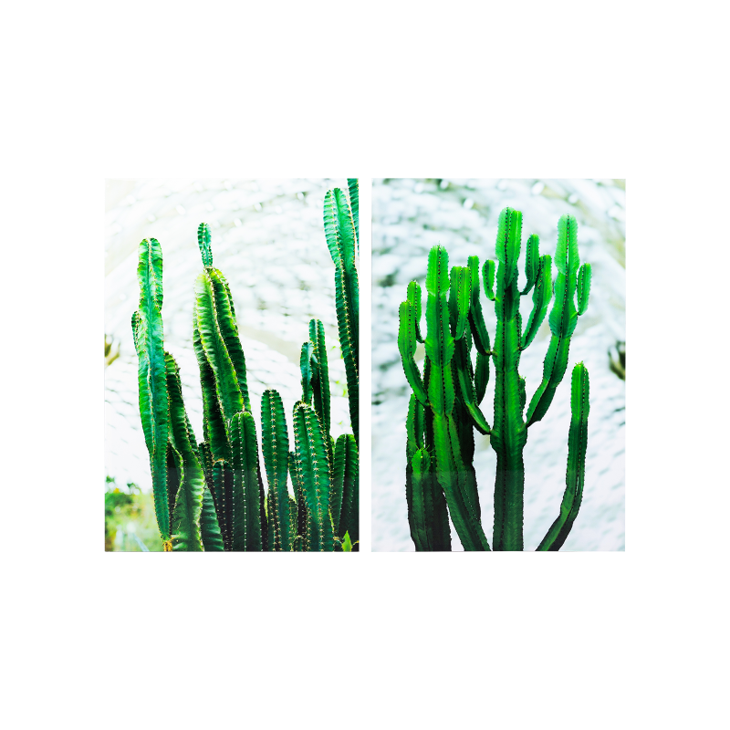 

Картина Peyote, из 2-х частей 90x120