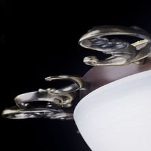 Потолочный светильник Maytoni "Speria" Потолочный светильник Maytoni "Speria"
