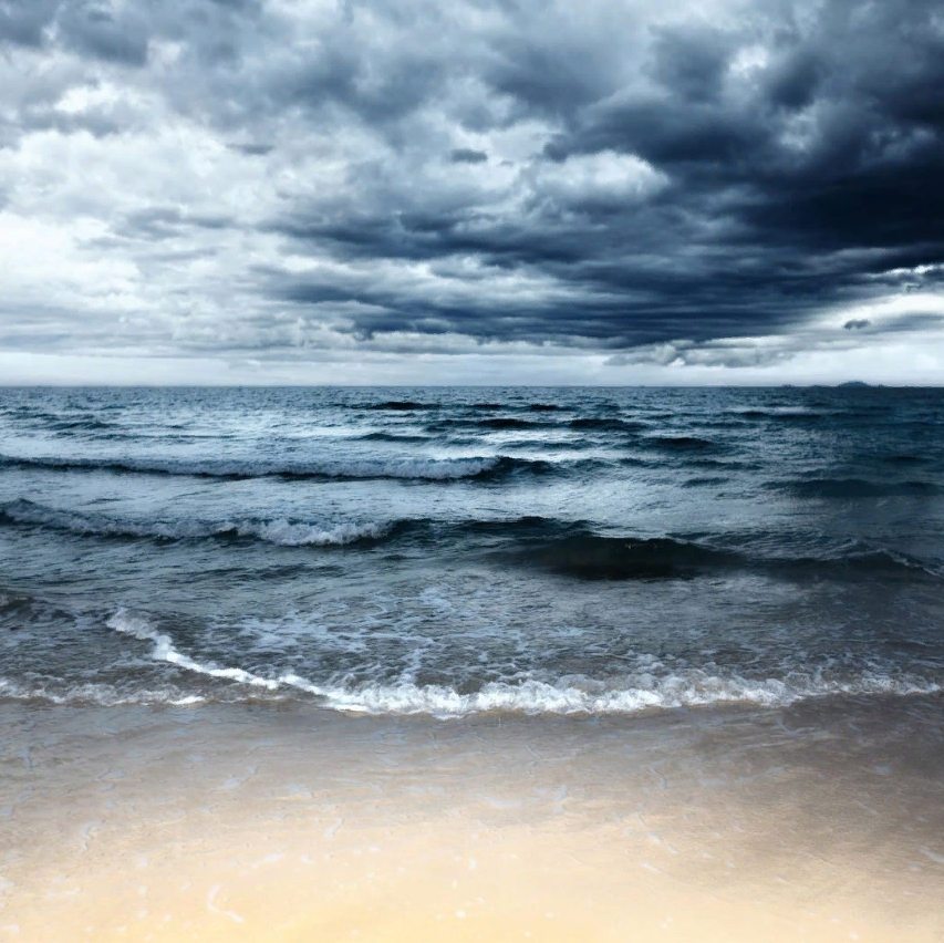 

Дизайнерские обои Sea