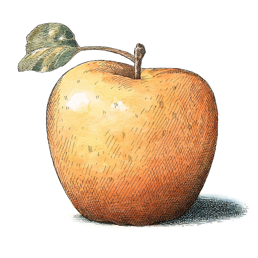 

Репродукция картины на холсте Apple no 4