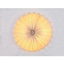 Потолочный светильник ST Luce Потолочный светильник ST Luce