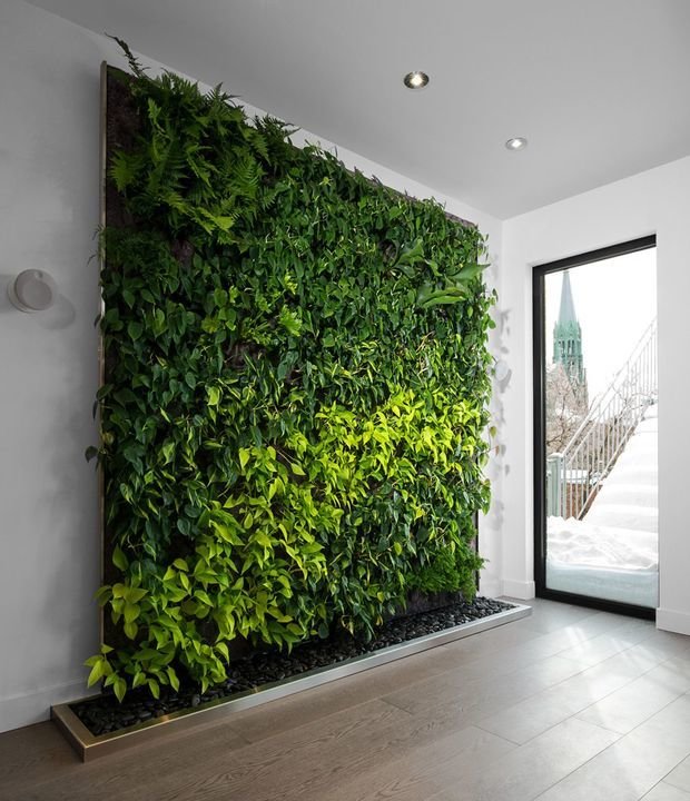 Фотография: Флористика в стиле , Декор интерьера, Зеленый, растения в горшках в интерьере, комнатные растения для ванной комнаты – фото на INMYROOM
