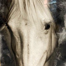 Фото из портфолио Пара лошадей – фотографии дизайна интерьеров на INMYROOM