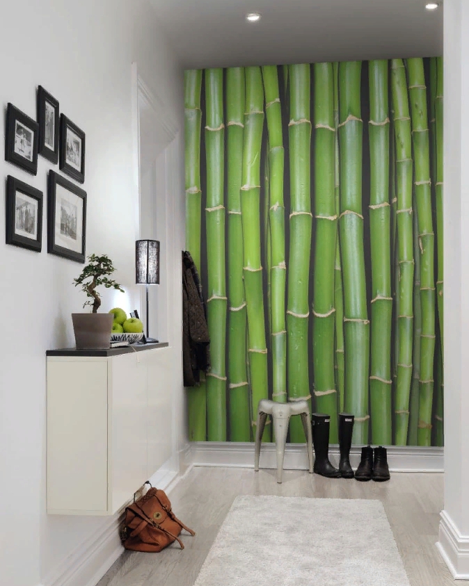

Дизайнерские обои Bamboo