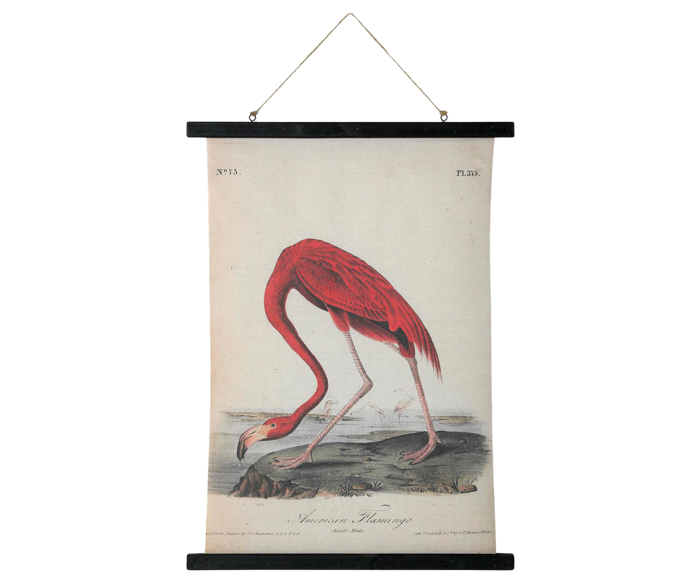 

Картина "Flamingo"