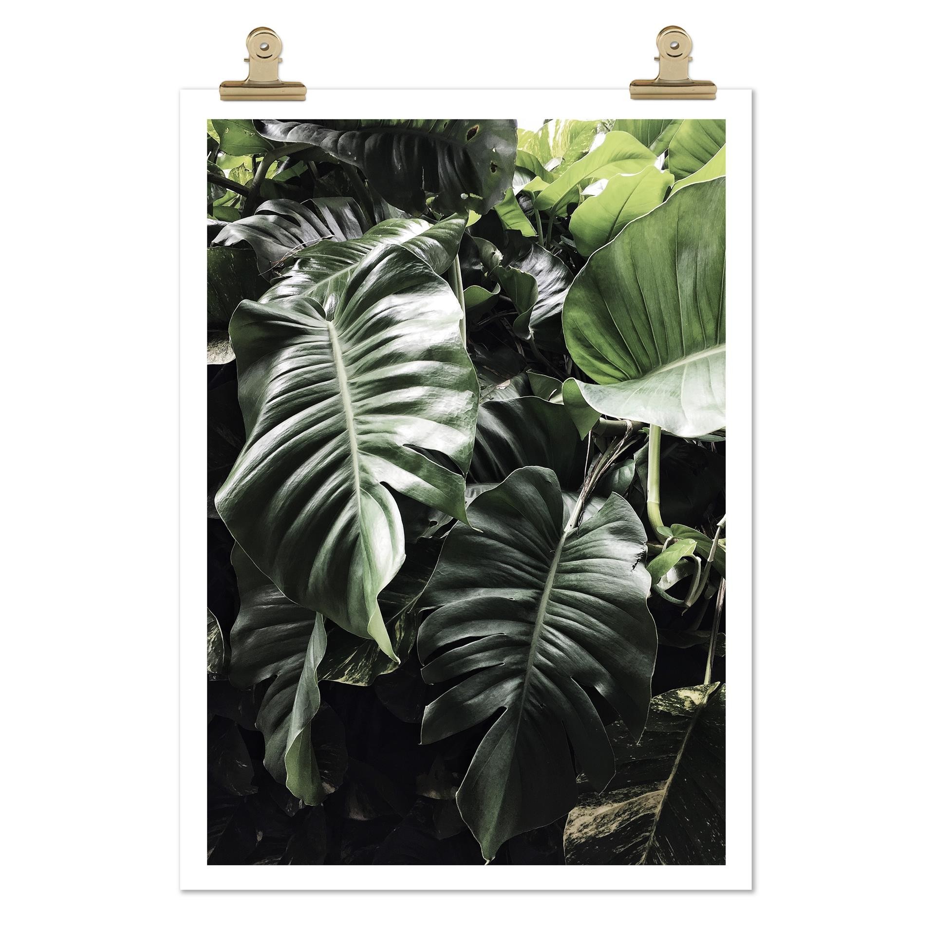 

Панно "Botanic Printed"
