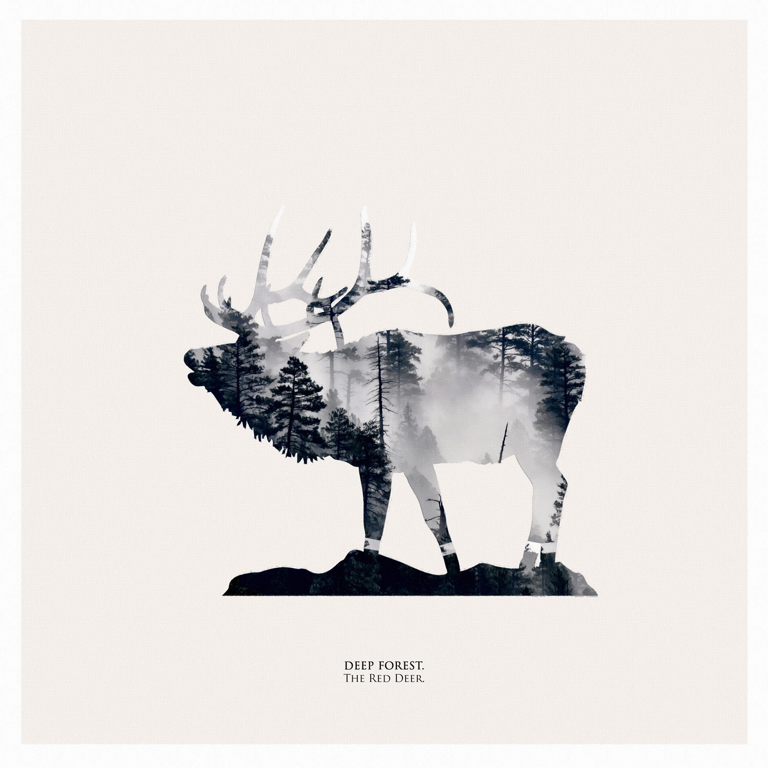 

Репродукция картины на холсте Deep Forest The Red Deer