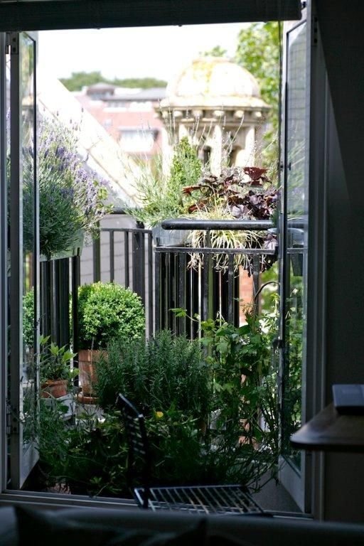 Фотография: Балкон в стиле Эко, Советы, Зеленый, Оксана Шабалина, овощи на балконе, сад пряных трав на балконе, вертикальное озеленение, что выращивать в тени, огород на балконе, мини-огород на балконе – фото на INMYROOM