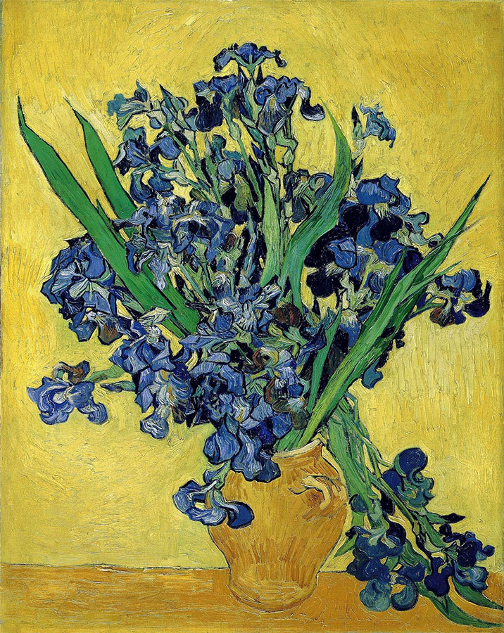 

Репродукция картины на холсте Still Life With Irises 1890 г.