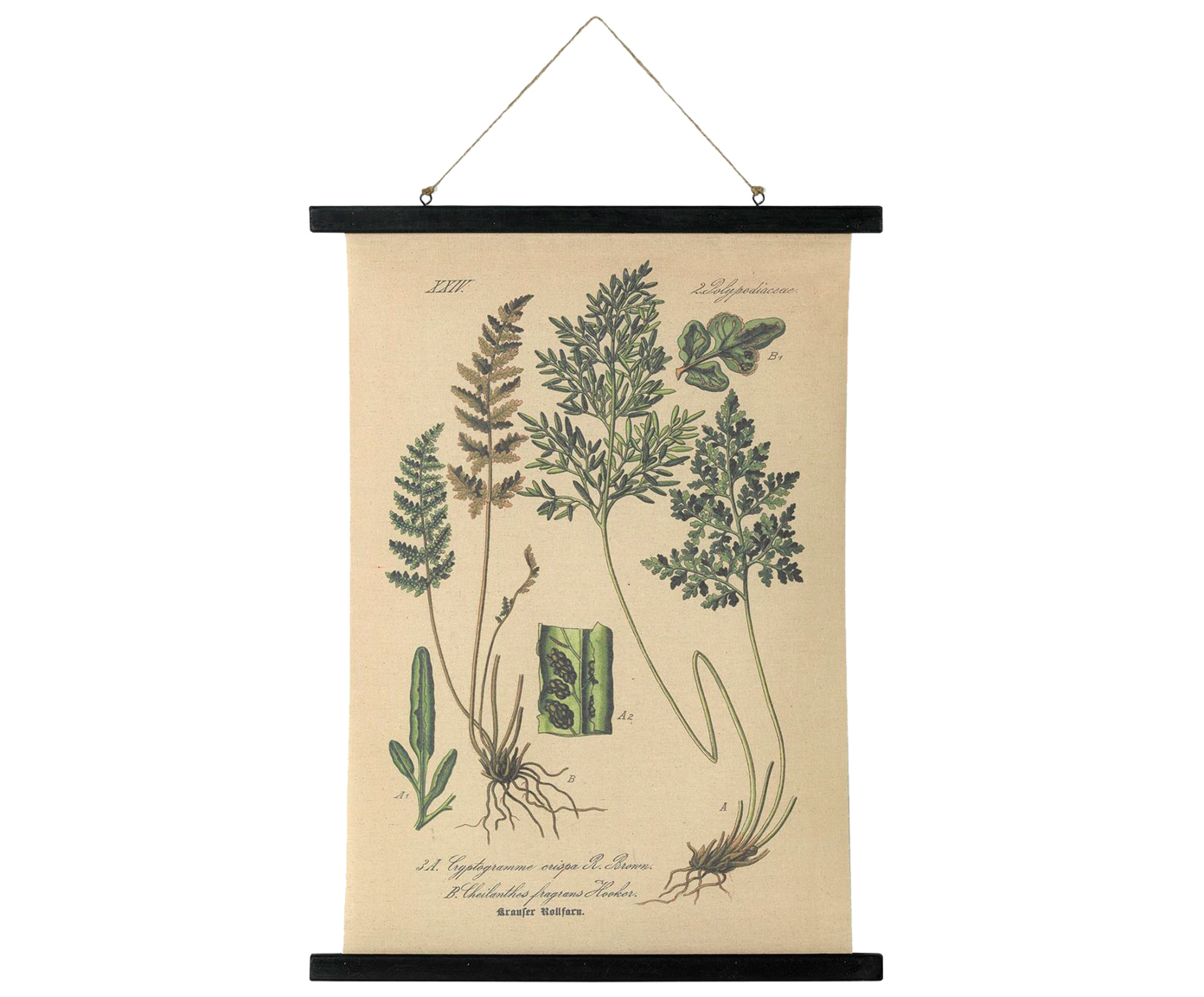 

Картина Botanical на льне