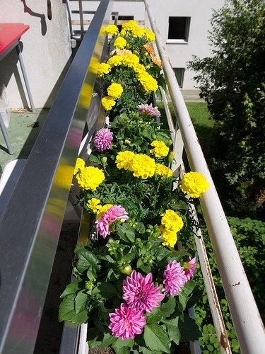 Фотография: Декор в стиле Эко, Балкон, Ландшафт, Терраса, Советы, Мария Шумская, Есения Семипядная, элегантный городской балкон, винтажные вещи на балконе, восточный декор для балкона, балкон в средиземноморском стиле, ландшафтный дизайн для балкона, горизонтальное озеленение, хвойные растения на балконе – фото на INMYROOM