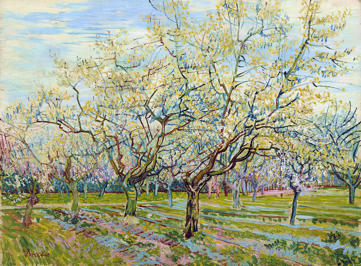 

Репродукция картины на холсте Orchard With Blossoming Plum Trees 1888 г.