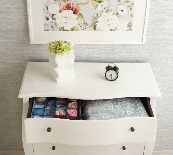 

Органайзер Casy Home для вещей