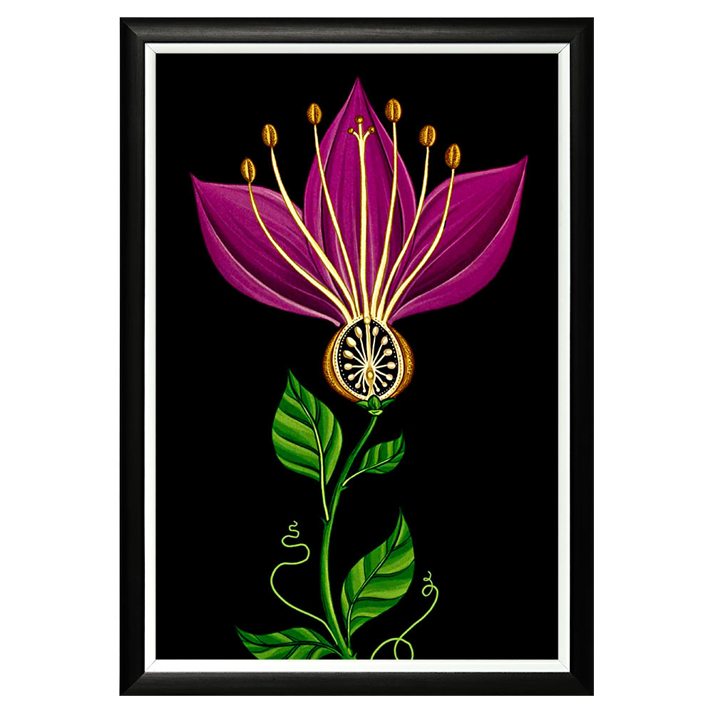 

Картина Pretty Exotic с рамой из полистирола