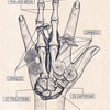 Принт Hand A2 Принт Hand A2