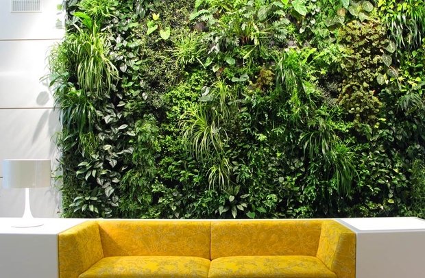 Фотография: Флористика в стиле , Декор интерьера, Советы, растения в интерьере, Vibe Life Technologies – фото на INMYROOM