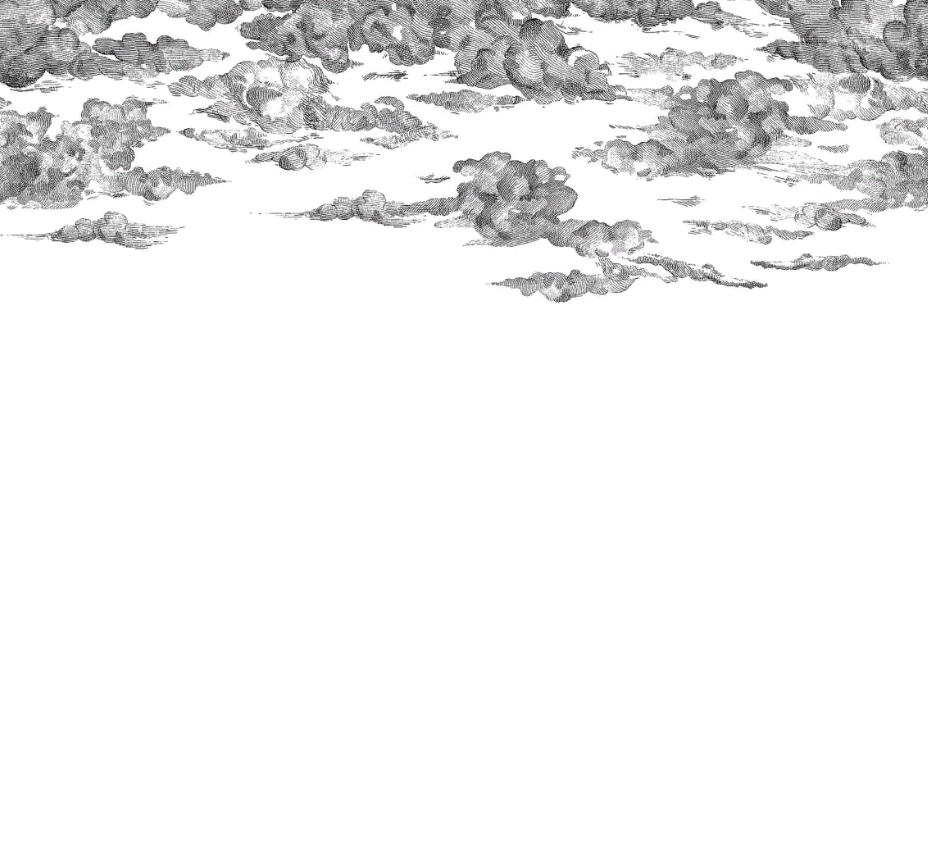 

Дизайнерские обои Cotton Skies Black