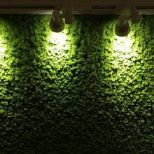 Фото из портфолио Витражи и стены из стабилизированного мха – фотографии дизайна интерьеров на INMYROOM