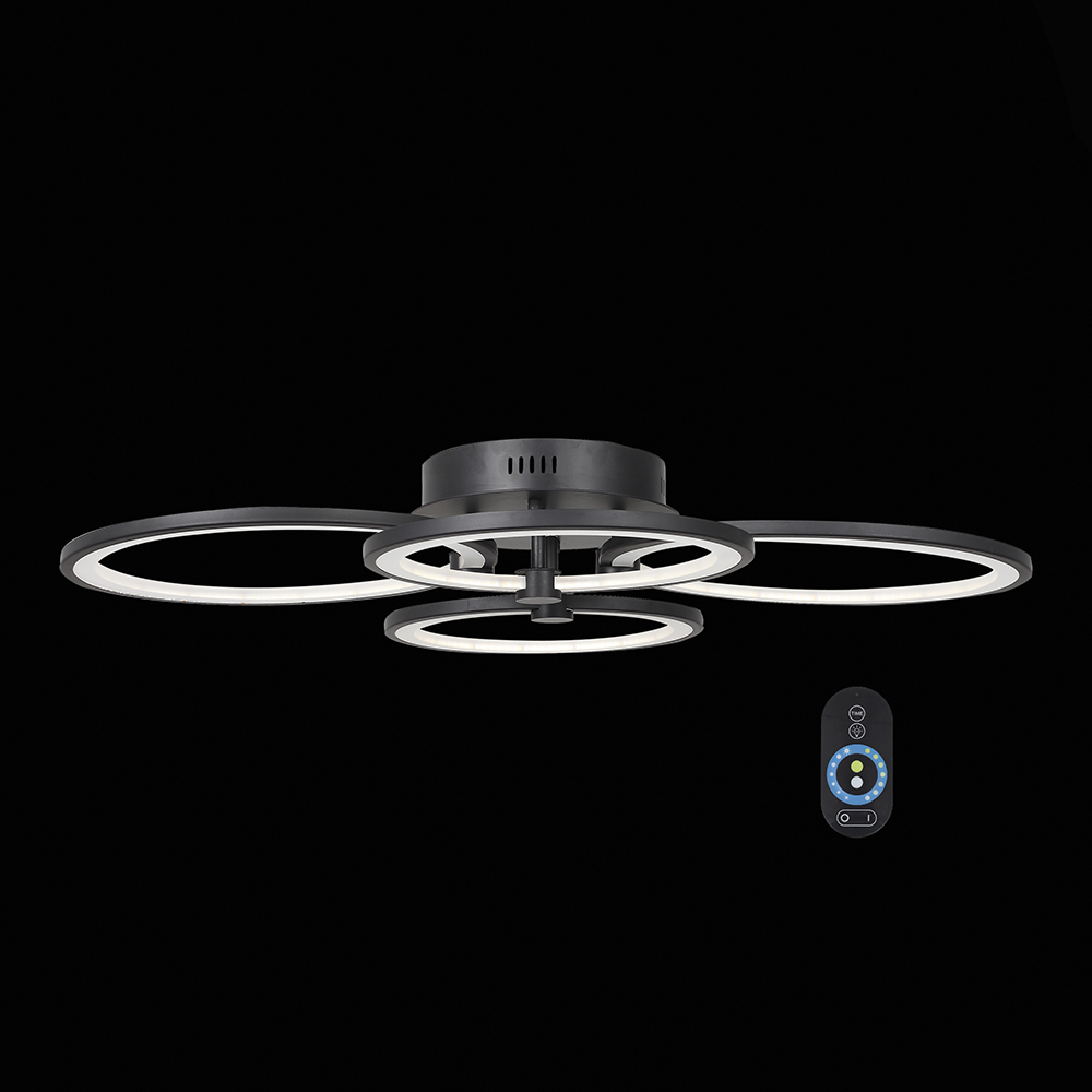 

Потолочная светодиодная люстра с пультом ду st Luce Twiddle Dimmer
