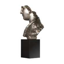 Статуэтка Silver head Статуэтка Silver head