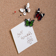 Набор кнопок pushpin collection Набор кнопок pushpin collection