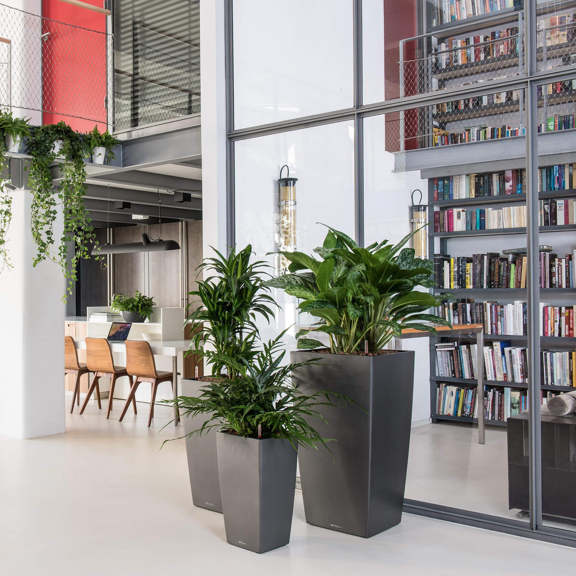 

Кашпо Lechuza кубико 30