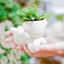 Набор для выращивания Экочеловеки eco мечтатель с ушками Набор для выращивания Экочеловеки eco мечтатель с ушками