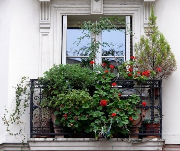 Фотография: Флористика в стиле , Балкон, Карта покупок – фото на INMYROOM