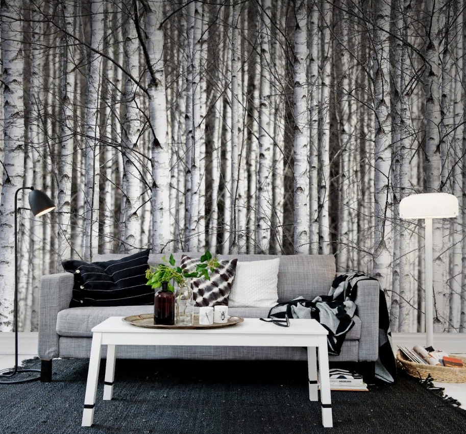 

Дизайнерские обои Birch Trunks