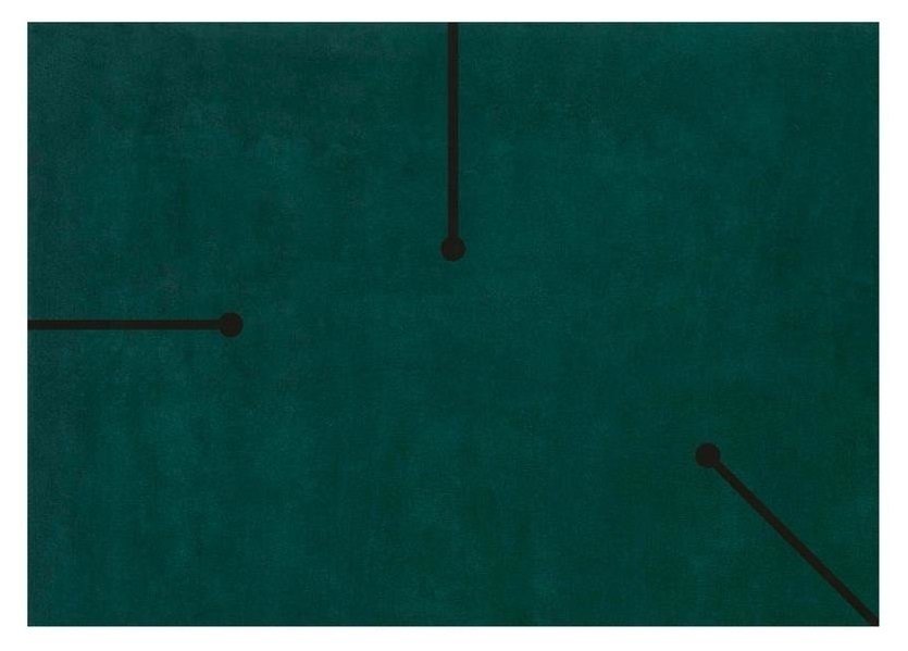 

Ковер Fiumi зеленого цвета 170x240