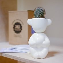 Набор для выращивания Экочеловеки eco романтик с ушками Набор для выращивания Экочеловеки eco романтик с ушками