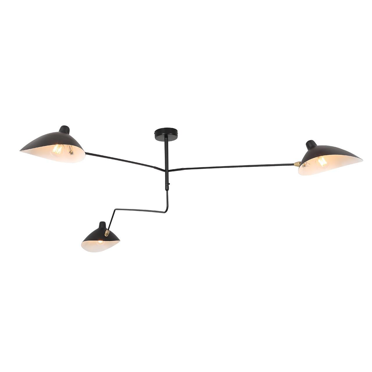 

Потолочная люстра st Luce Spruzzo sl305.402.03