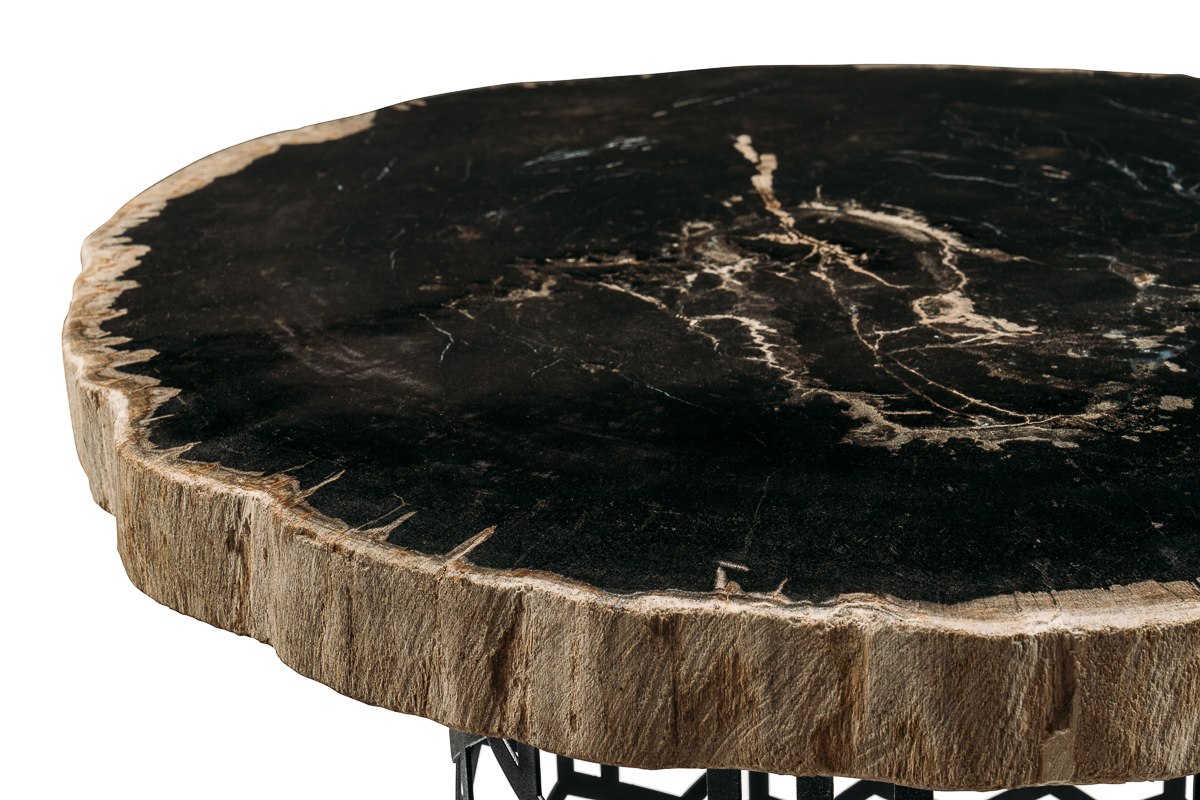 

Журнальный стол палиат из окаменелого дерева 381489