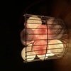 Тайская гирлянда розово-серая от розетки Тайская гирлянда розово-серая от розетки