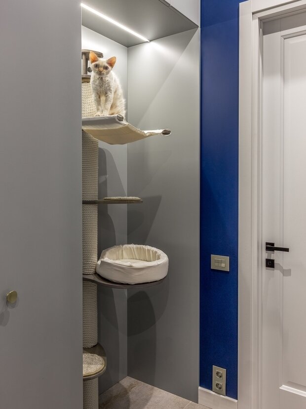 В коридоре в нише со встроенным шкафом установлена стойка для кошки со спальным местом, горкой и когтеточкой.