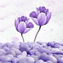 Модульная картина от дизайнера "Сквозь камни" Модульная картина от дизайнера "Сквозь камни"