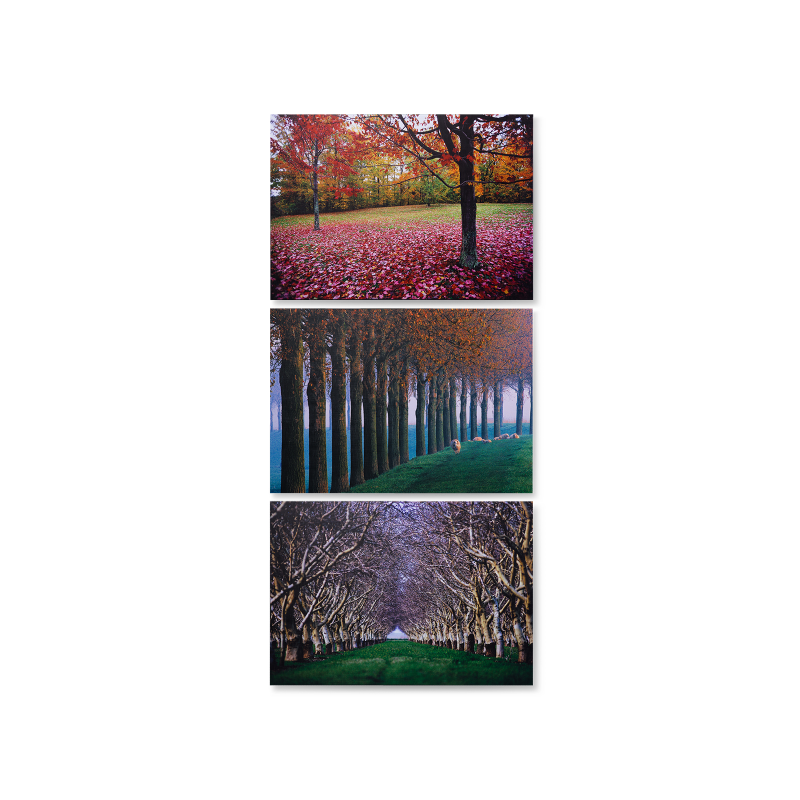 

Картина Copse из трех частей 70х50
