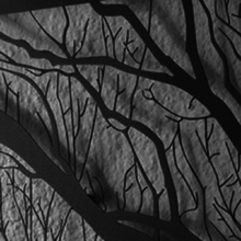 Инсталляция Branches Инсталляция Branches