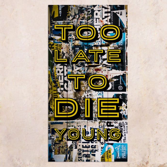 

Панно на дереве Too Late to Die Young 40х80