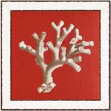 Кораллы белые Кораллы белые