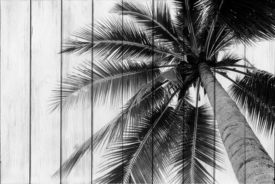 

Картина на дереве пальма 120х180