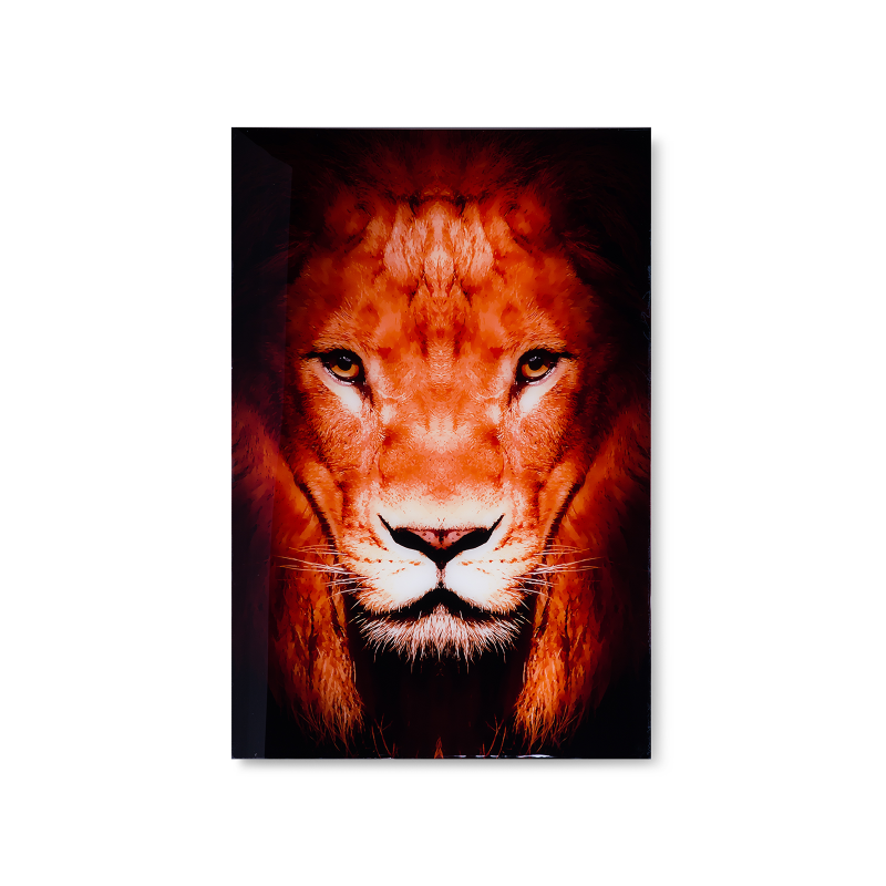 

Картина Lion на актриле