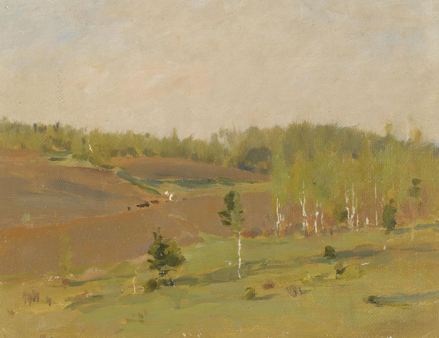 

Репродукция картины на холсте The Tilled Field Spring